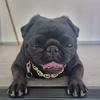 Thomas Ney - @thomas.ney - TikTok