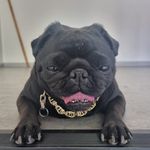 Thomas Ney - @neyt8818 - Instagram