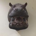 Thomas Neyens - @thomsneyens - Instagram