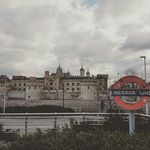 Thomas Niehoff - @thomas.niehoff.526 - Instagram