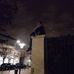 Thomas Notchi - Facebook