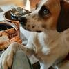 Thomas Nitsche - @thomas.nitsche - TikTok