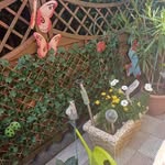 Thomas Nitschke - @nitschkethomas435 - Instagram