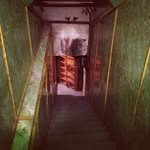 Thomas Noggle - @simpleeverbandit - Instagram