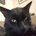 Thomas Nonn - Facebook