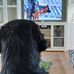 Thomas Norling - Facebook