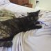 Thomas Knott - Facebook