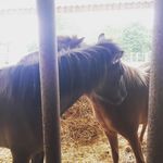 Thomas Nußbaum - @nussbaum704 - Instagram