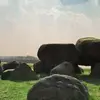 ThomasNuzzo9716 - @thomasnuzzo9716 - TikTok