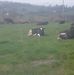 Tom Nyhan - Facebook