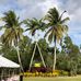 Thomas Breezy Oaks Resort - Facebook