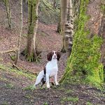 Thomas Odonnell - @thomas.odonnell.52206 - Instagram