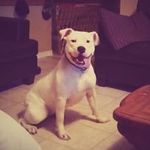 Thomas Ogley - @thomas_ogley - Instagram