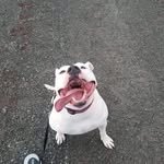 Thomas Ogley - @thomas.ogley.5 - Instagram