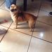 Thomas Olguin - Facebook