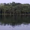 Thomas Olson - @thomasolson038 - TikTok