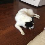 Thomas Ordonez - @thomasordonez4 - Instagram