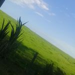 thomas horrell - @thomas.horrell - Instagram