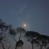🌌 - @thomas_orsini11 - TikTok