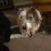Thomas Osman - Facebook