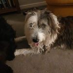 Thomas Osman - @ghtyrr4456 - Instagram