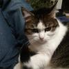 Thomas Ostfriese - @thomas.ostfriese - TikTok