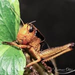 Thomas Otto - @thomasottophotographie - Instagram