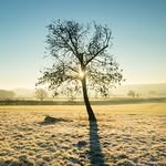Thomas Overby - @a1374890979 - Instagram