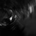 Thomas Overman - Facebook