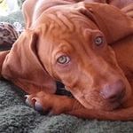 Thomas Päckmann - @thomas_paeckmann - Instagram