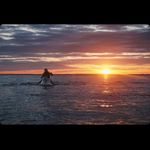 Thomas Palin - @thomaspalinn - Instagram