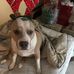 Thomas PagnoZzi - Facebook