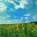 Thomas Panetta - Facebook