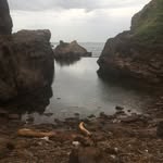Thomas Panozzo - @panozzo.thomas - Instagram