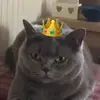 thomasparfitt - @parfitarole - TikTok