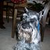 Thomas G. Parham - Facebook
