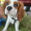 Paxson Thomas - @paxson.thomas - TikTok