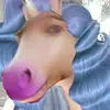 Thomas Paxson - @thomaspaxson6015 - TikTok