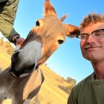 Thomas Peak - @thomaspeak_13 - Instagram