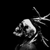 Thomas Peak - @thomaspeak2 - TikTok