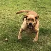 Thomas Peak - @thomas.peak - TikTok