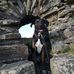 Thomas Peart - Facebook