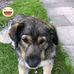 Thomas Peiffer - Facebook