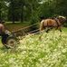 Thomas Pellerin - Facebook