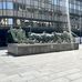 Thomas Peltier - Facebook