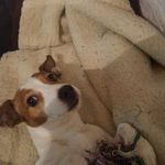 Thomas Peltier - @thomas.peltier.5245 - Instagram