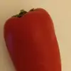 thomaspepper - @thomas_the_pepper - TikTok