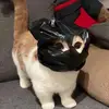 Thomas Peralta - @thomas.peralta - TikTok