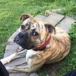Thomas Perkins - @thomasperkins550 - Instagram