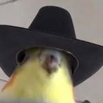 Thomas Perryman - @thomas_da_train_3 - Instagram